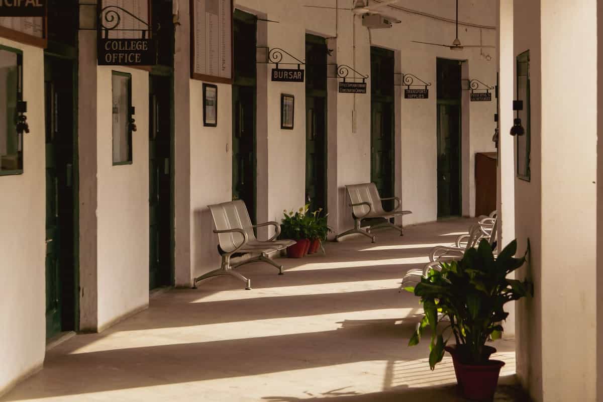 The corridor outside the office in afternoon sun, steel benches and potted plants along the wall.