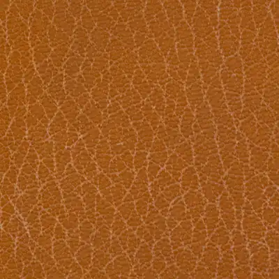 A close view of leather grain.