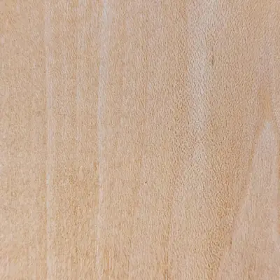 A close view of mango wood grain.