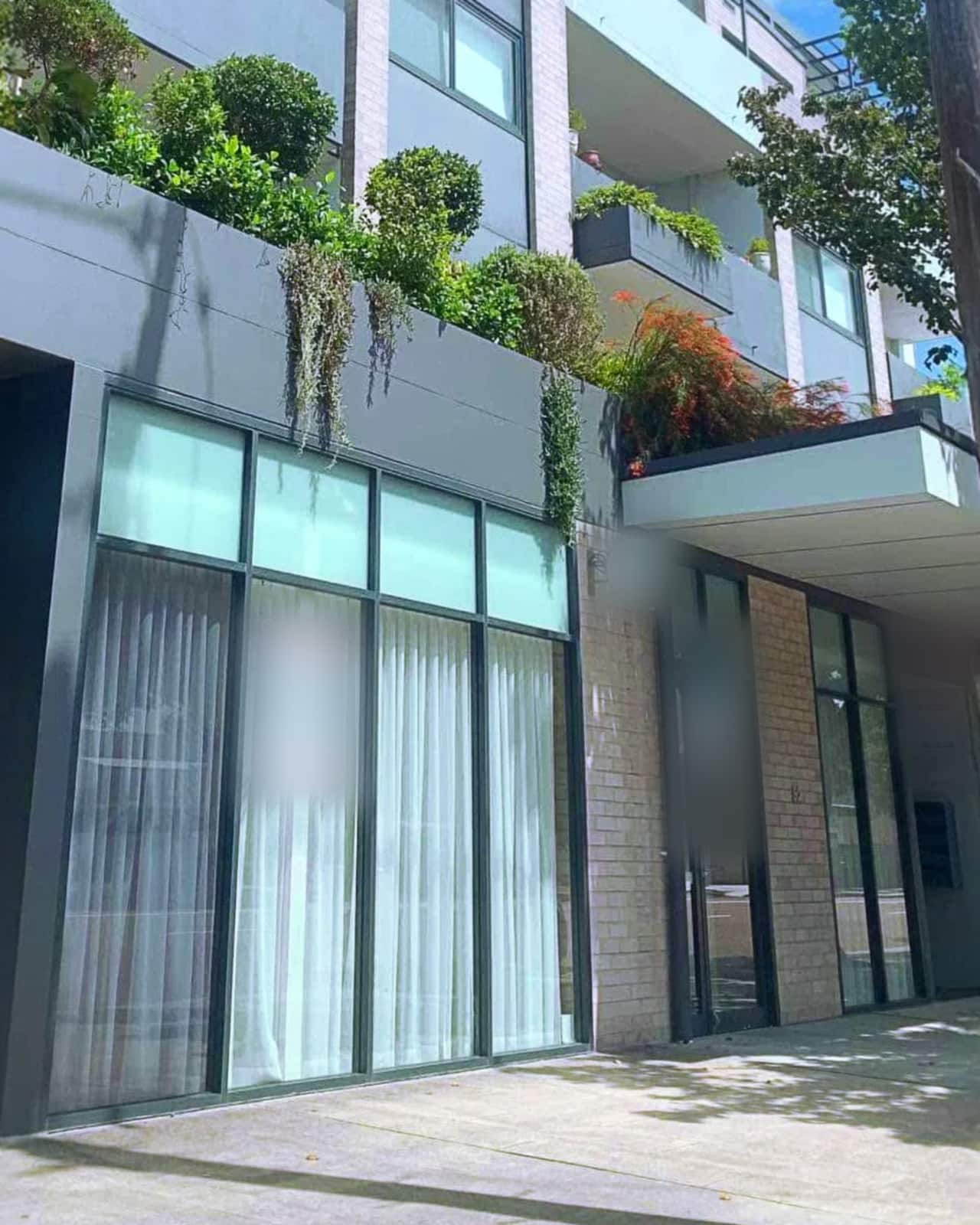The street front: tall curtained windows and a glass door under a planted ledge.